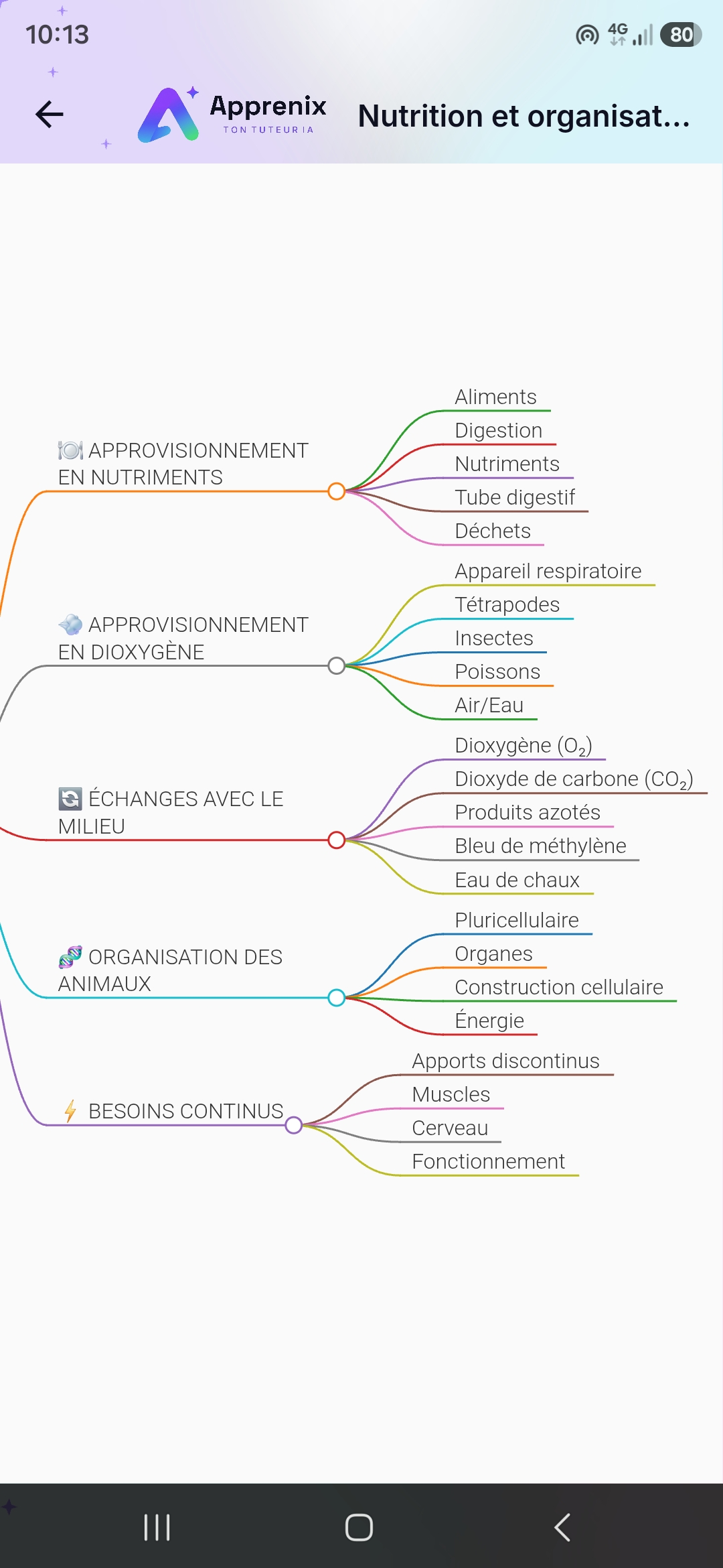 Carte mentale générée automatiquement